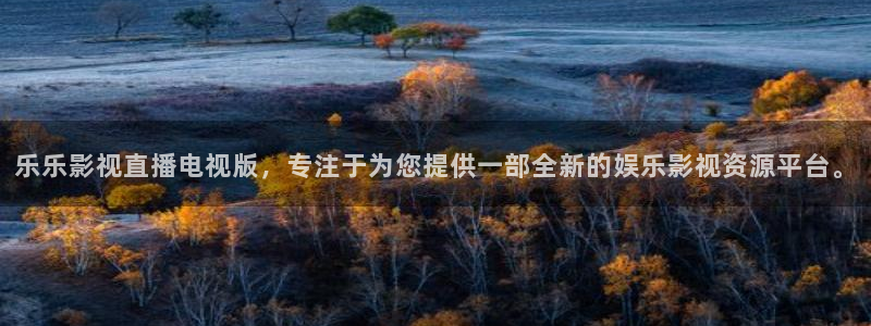 星海之外定档海报