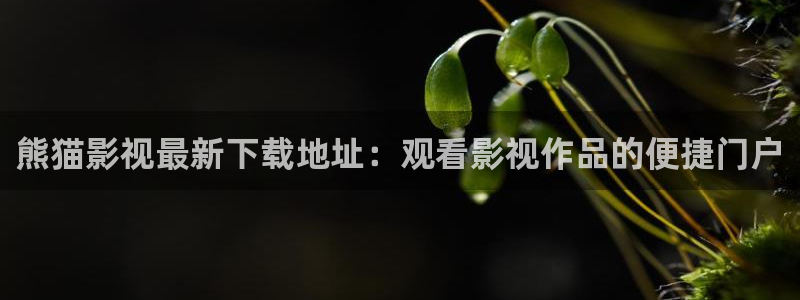 星海之外定档海报