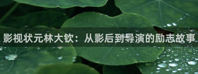 星海之外定档海报