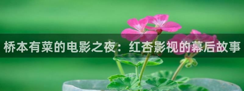 星海之外定档海报