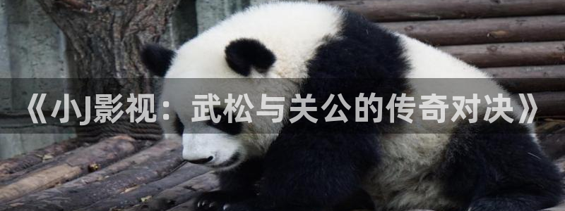 星海之外定档海报