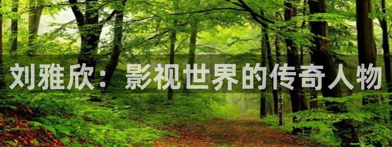 星海之外定档海报