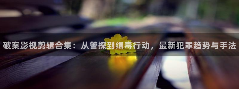 星海之外定档海报