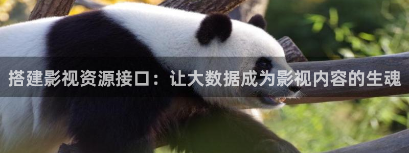 星海之外定档海报